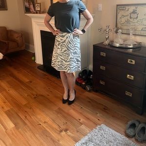 HUGO BOSS Stunning. Size 4. Never worn. NWT  skirt. Four season. $125